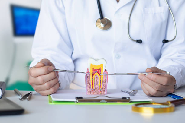 Best Emergency Root Canal Treatment in Marlinton, WV